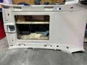 Dachverkleidung BMW X5 (F15, F85) xDrive 40 d TJ81688S 9T8768T