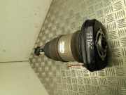 pneumatischer Stoßdämpfer hinten rechts BMW i4 (G26) eDrive40 13981113 755A5BE