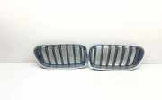Vorderer oberer Gitter BMW X3 (F25) xDrive 20 d 7210726 7210725