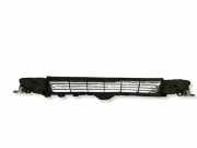 Gitter vorne unten TESLA MODEL 3 EV 108592700C