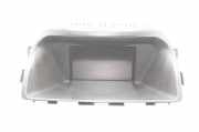 Display Opel Antara (L07) 95905400