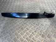 Kennzeichenbeleuchtung Verkleidung