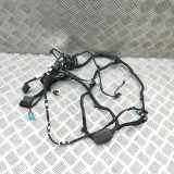 Kabel der vorderen linken Tür BMW X5 (G05) xDrive 30 d Mild-Hybrid 5A5B6B2