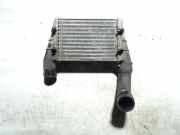 Ladeluftkühler VW Passat B5 (3B2) 058145805A