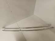 Dachreling links Audi A6 (4F, C6)