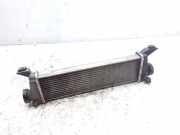 Ladeluftkühler Mercedes-Benz A-Klasse (W168) A1685000000