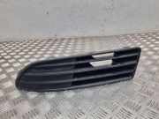 Kühlergrill unten VW Polo IV (9N, 9A) 6Q0853665D