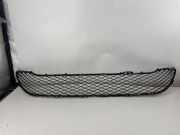 Gitter vorne unten VW TIGUAN (5N_) 2.0 TDI 4motion 8530106