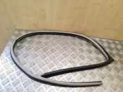 Türgummi links vorne Mitsubishi Pajero III (V6, V7)