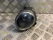 Nebelscheinwerfer links BMW X5 (E53) 3.0 d