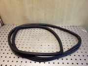 Türdichtung Toyota Corolla Verso (E12J1)