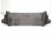 Ladeluftkühler Mercedes-Benz R-Klasse (W251) A2515000000