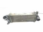 Ladeluftkühler MERCEDES-BENZ CITAN Furgon (415) 108 CDI (415.601, 415.603) 144963234R