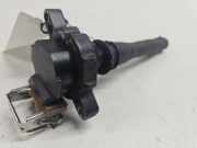 Zündspule LAND ROVER FREELANDER (L314) 2.5 V6 4x4 NEC101010