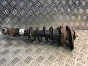 Stoßdämpfer rechts hinten Mini Mini (R56)