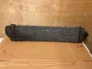 Ladeluftkühler Ford Galaxy (CK)