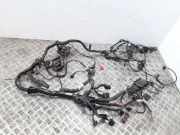 Kabelbaum SEAT IBIZA III (6L1) 1.4 16V M507173401 6L1003C