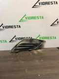 Gitter vorne unten VOLVO S60 II DRIVe / D2 31290979