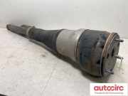 Gasdruckfeder Mercedes-Benz S-Klasse (W222) A2223205313