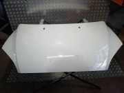 Motorhaube Ford Focus IV (HN)