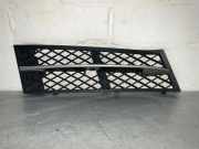 Gitter vorne unten BMW 5 (F10) 550 i xDrive 7231860