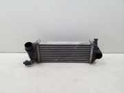 Ladeluftkühler Renault Kangoo II - Grand Kangoo (KW0) 144963234R