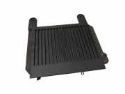 Audio-Verstärker Volvo V70 III (135) 31215657