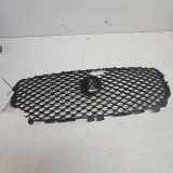 Vorderer oberer Gitter JAGUAR XE (X760) 2.0 D GX738B271BA