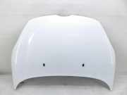 Motorhaube FORD FIESTA VI Van 1.4 TDCi
