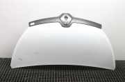 Motorhaube RENAULT TRAFIC III Furgon (FG_) 1.6 dCi 120