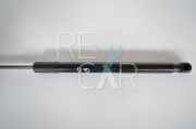 Heckklappe Gasdruckfeder rechts RENAULT MEGANE III Grandtour (KZ0/1) 1.5 dCi (KZ09, KZ0D, KZ1G, KZ1M, KZ1W) 844300009R 023168 F30735N
