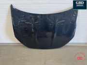 Motorhaube Nissan Qashqai (J10) F5100BR0MC