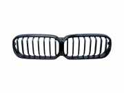 Vorderer oberer Gitter BMW 5 Touring (G31) 520 d 9464217