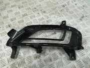 Blende Nebelscheinwerfer Hyundai Tucson III (TL, TLE) 86525D7530