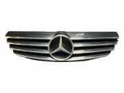 Vorderer oberer Gitter MERCEDES-BENZ CLK (C209) 200 Kompressor (209.342) A2098880052