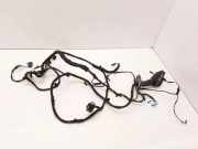 Kabel Tür vorne rechts BMW 5 (F10) 528 i xDrive 9256002