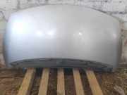 Motorhaube RENAULT ESPACE IV (JK0/1_) 2.0 dCi (JK01, JK02, JK1J, JK1K)