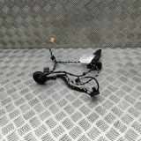 Türverkabelung hinten rechts VW PASSAT Variant B8 (3G5) 2.0 TDI 3G0971694A