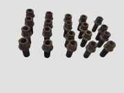 Radschraubensatz VW CADDY III Furgon (2KA, 2KH, 2CA, 2CH) 1.9 TDI