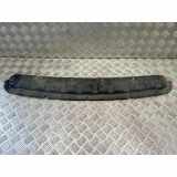 Bodenschutz der Frontstoßstange BMW X3 (F25) xDrive 30 d 8048117