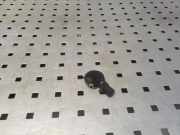 Regensensor VOLVO V40 Hatchback D3 31314540