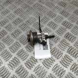 AdBlue Einspritzdüse AUDI A6 Avant (4G5, C7, 4GD) 3.0 TDI quattro 4H0131113A