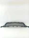Gitter vorne unten MERCEDES-BENZ E Cabrio (A207) E 250 CDI / BlueTEC / d (207.403, 207.404) A2078850423