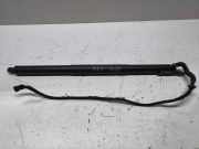 Heckklappe Gasdruckfeder links BMW X3 (F25) xDrive 30 d 21195208200051