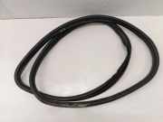 Türdichtungsgummi vorne links JAGUAR F-PACE (X761) 2.0 AWD