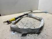 SRS Modul Dach links AUDI A3 Sportback (8PA) 2.0 TDI 16V 1003131