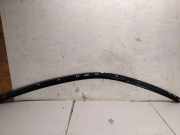 Dachleiste links BMW 5 (G30) 520 d Mild-Hybrid xDrive 7483155