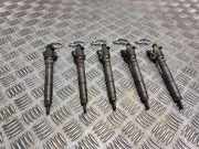 Einspritzventil Set VOLVO V70 III (BW) D3 / D4 31303238