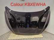 Motorhaube FORD FOCUS IV Turnier (HP) 1.5 EcoBlue