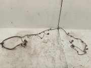 Kabelbaum Audi Q5 (8R) 8R0971104CE